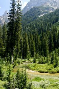 Preview wallpaper cascade canyon, grand teton national park, usa, wyoming