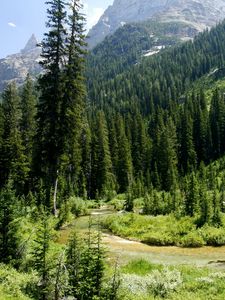 Preview wallpaper cascade canyon, grand teton national park, usa, wyoming