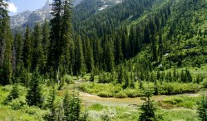 Preview wallpaper cascade canyon, grand teton national park, usa, wyoming