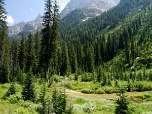 Preview wallpaper cascade canyon, grand teton national park, usa, wyoming