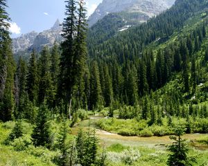 Preview wallpaper cascade canyon, grand teton national park, usa, wyoming