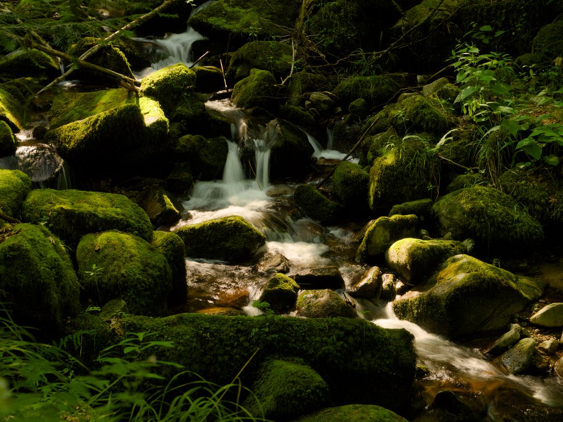 1152x864 Wallpaper cascade st-nicholas, france, waterfall, rocks, plants, landscape, nature