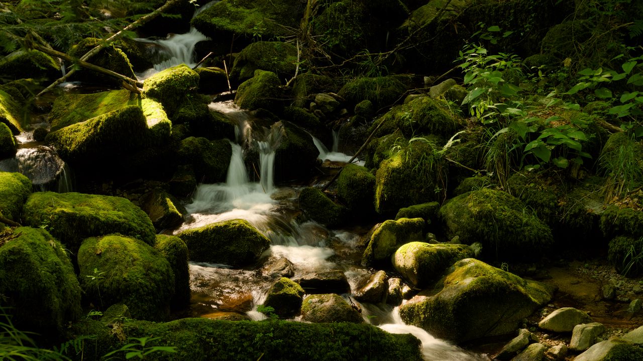 Wallpaper cascade st-nicholas, france, waterfall, rocks, plants, landscape, nature
