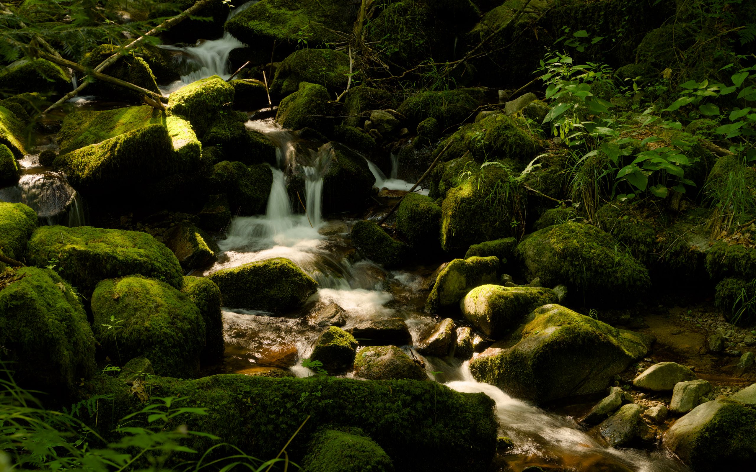 2560x1600 Wallpaper cascade st-nicholas, france, waterfall, rocks, plants, landscape, nature