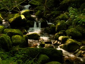 Preview wallpaper cascade st-nicholas, france, waterfall, rocks, plants, landscape, nature
