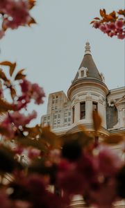 Preview wallpaper castle, architecture, building, branches