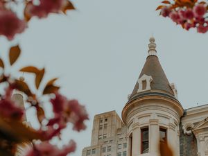 Preview wallpaper castle, architecture, building, branches