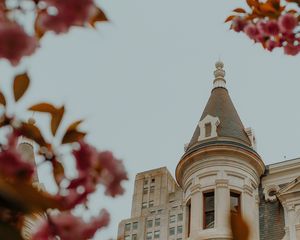 Preview wallpaper castle, architecture, building, branches