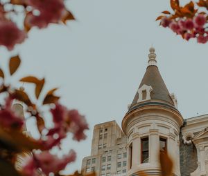 Preview wallpaper castle, architecture, building, branches