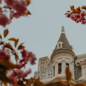 Preview wallpaper castle, architecture, building, branches