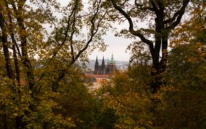 Preview wallpaper castle, architecture, city, forest