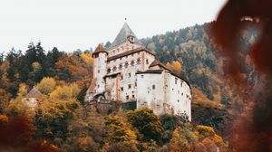 Preview wallpaper castle, architecture, hill, forest