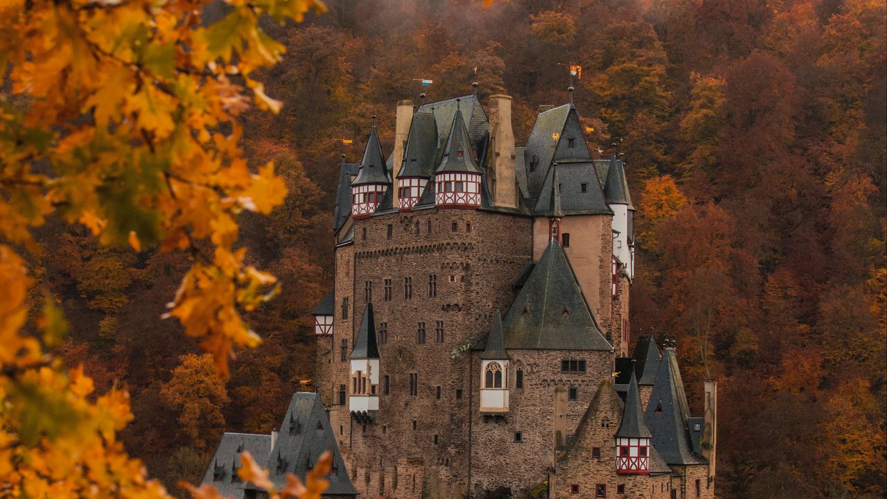 Wallpaper castle, autumn, architecture, germany, branches, leaves