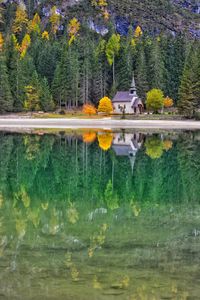 Preview wallpaper castle, autumn, trees, reflection