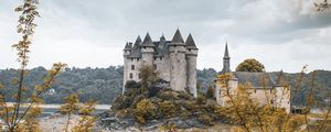 Preview wallpaper castle, branches, leaves, lake, architecture