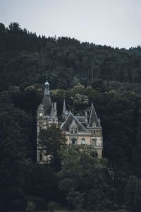 Preview wallpaper castle, building, forest, trees, rock