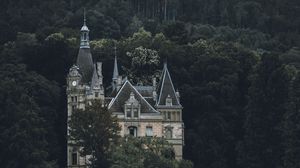 Preview wallpaper castle, building, forest, trees, rock