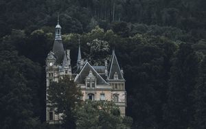 Preview wallpaper castle, building, forest, trees, rock