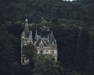 Preview wallpaper castle, building, forest, trees, rock