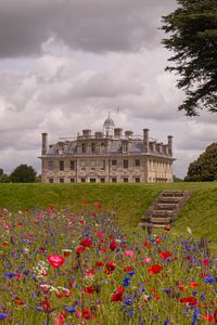 Preview wallpaper castle, building, tower, flowers