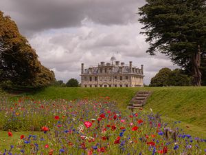 Preview wallpaper castle, building, tower, flowers