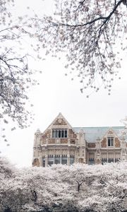 Preview wallpaper castle, building, trees, flowers, white