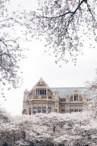 Preview wallpaper castle, building, trees, flowers, white