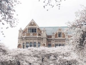 Preview wallpaper castle, building, trees, flowers, white