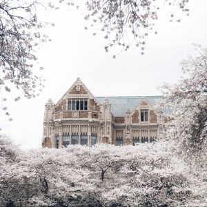 Preview wallpaper castle, building, trees, flowers, white