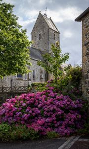 Preview wallpaper castle, flowers, bush, architecture