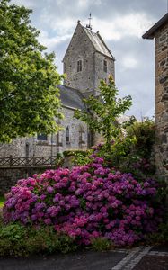 Preview wallpaper castle, flowers, bush, architecture