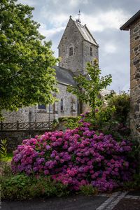 Preview wallpaper castle, flowers, bush, architecture