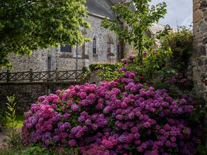 Preview wallpaper castle, flowers, bush, architecture