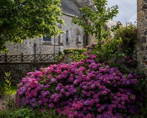 Preview wallpaper castle, flowers, bush, architecture