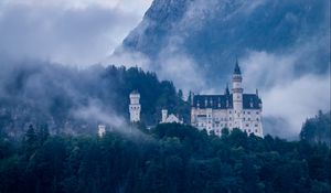 Preview wallpaper castle, forest, fog, germany