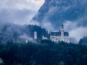 Preview wallpaper castle, forest, fog, germany