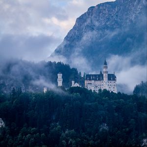 Preview wallpaper castle, forest, fog, germany