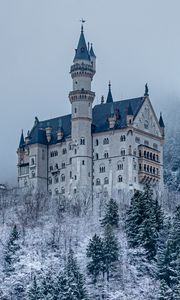 Preview wallpaper castle, forest, snow, winter, architecture