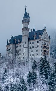 Preview wallpaper castle, forest, snow, winter, architecture