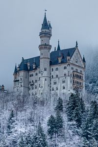 Preview wallpaper castle, forest, snow, winter, architecture