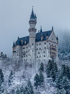 Preview wallpaper castle, forest, snow, winter, architecture