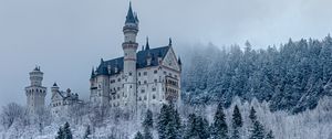 Preview wallpaper castle, forest, snow, winter, architecture