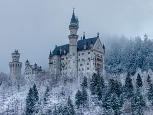 Preview wallpaper castle, forest, snow, winter, architecture