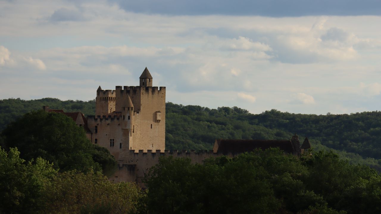 Wallpaper castle, forest, trees, horizon, clouds