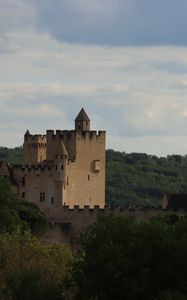 Preview wallpaper castle, forest, trees, horizon, clouds