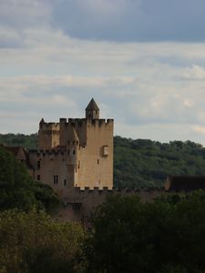 Preview wallpaper castle, forest, trees, horizon, clouds