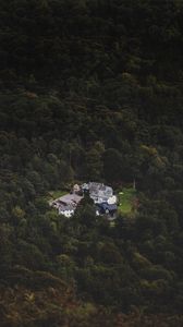 Preview wallpaper castle, homestead, view from above, forest