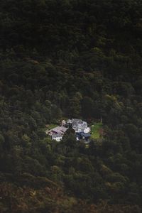 Preview wallpaper castle, homestead, view from above, forest