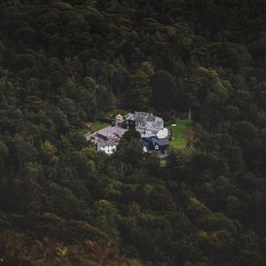 Preview wallpaper castle, homestead, view from above, forest