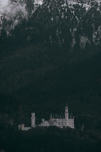Preview wallpaper castle, trees, neuschwanstein castle, forest, mountains, schwangau, germany